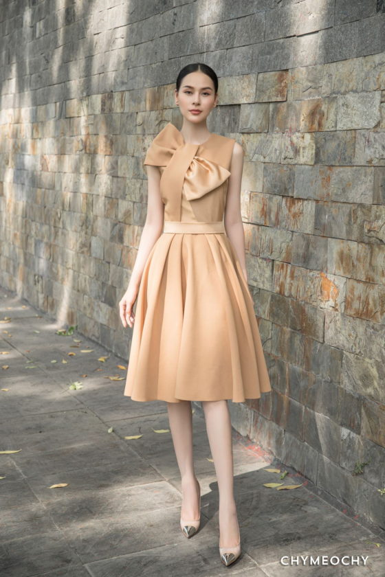 Light Brown Mini Dress 1