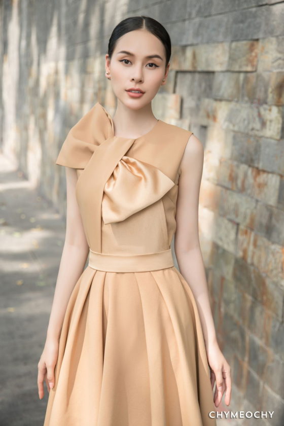Light Brown Mini Dress 2