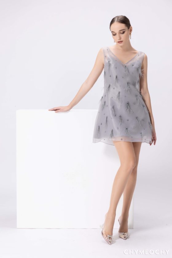 A-Line Organza Mini Dress 3