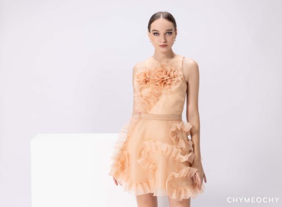 Rossy Mini Dress 4