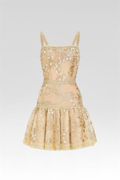 The Aurielle Golden Mini Dress