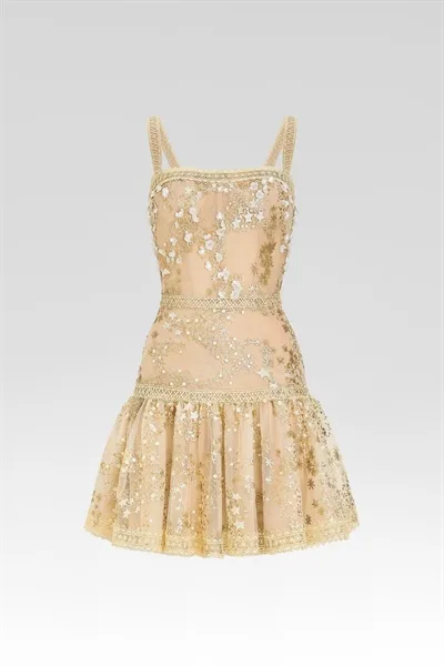 The Aurielle Golden Mini Dress